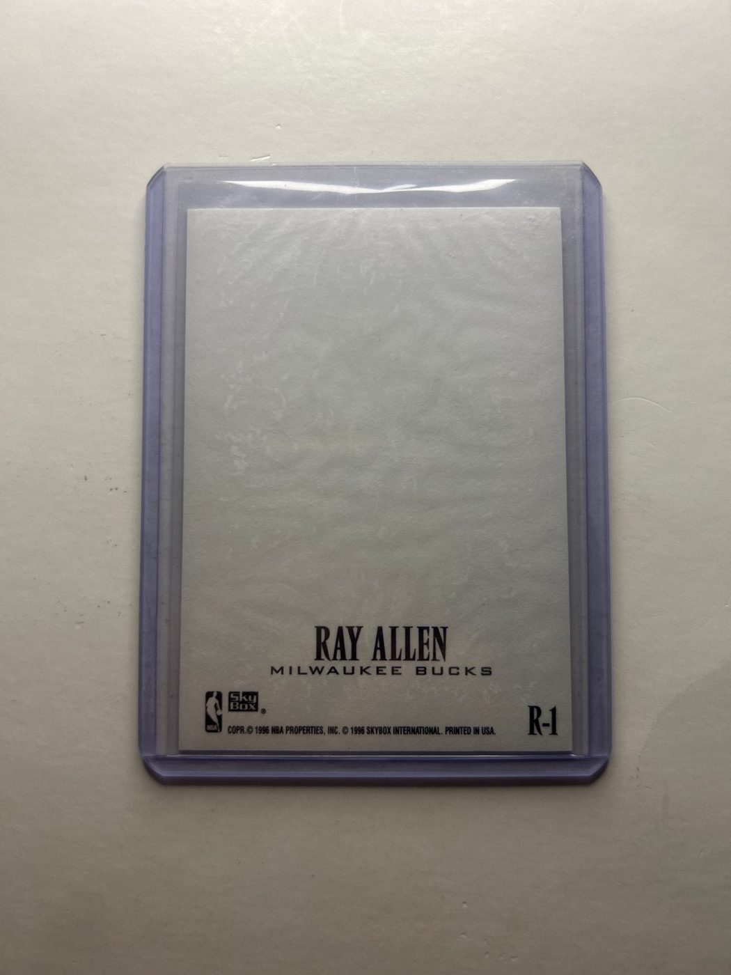 1996-97 Skybox Z Force Z-Cling Ray Allen #R-1 2